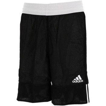 Vêtements Homme Shorts / Bermudas adidas Originals Spee reversible basket short Noir