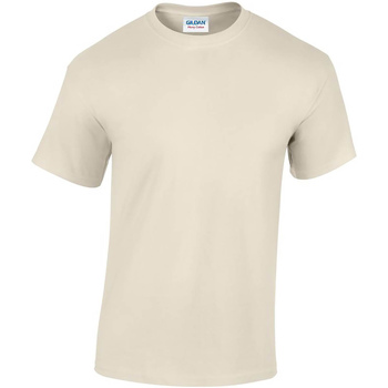 Vêtements Homme T-shirts manches longues Gildan GD05 Beige