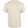 Vêtements Homme T-shirts manches longues Gildan Heavy Cotton Beige