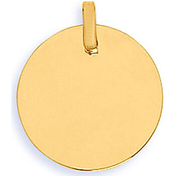 Montres & Bijoux Femme Pendentifs Brillaxis Pendentif  plaque ronde en or jaune 9 carats Jaune