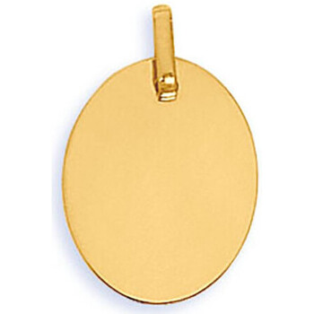 Montres & Bijoux Femme Pendentifs Brillaxis Pendentif plaque ovale or jaune 18 carats Jaune