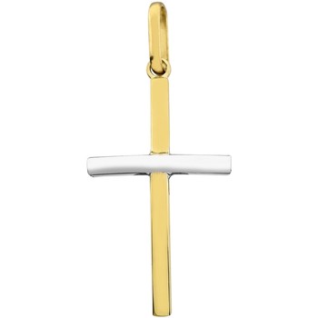 pendentifs brillaxis  pendentif  croix bombée or bicolore 