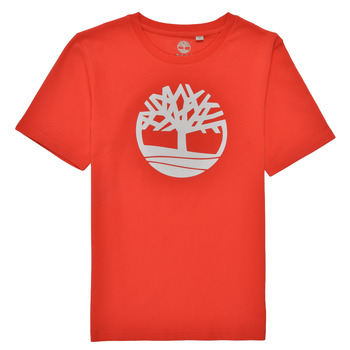 Vêtements Garçon T-shirts manches courtes Timberland LOLLA Rouge