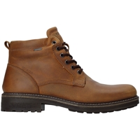 Chaussures Homme Boots IgI&CO 4122422 Marron