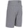 Vêtements Homme Shorts / Bermudas Trespass Miner Gris