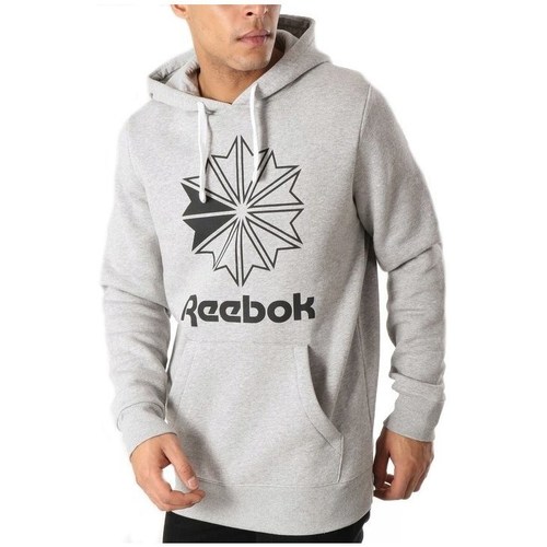 Vêtements Homme Sweats Reebok Sport Big Logo Hoodie Gris
