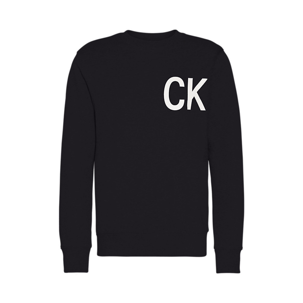 Vêtements Homme Sweats Calvin Klein Jeans Statement logo Noir