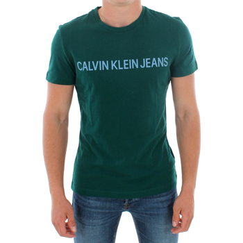 Vêtements Homme T-shirts manches courtes Calvin Klein Jeans J30J307856 383 GREEN Vert