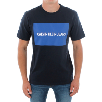 Vêtements Homme T-shirts manches courtes Calvin Klein Jeans J30J307850 904 NAVY Bleu
