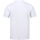 Vêtements Homme T-shirts & Polos Regatta Sinton Blanc