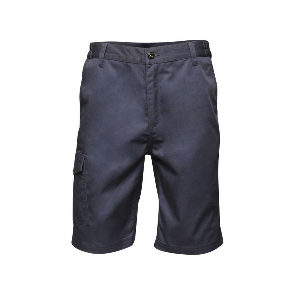 Vêtements Homme Shorts / Bermudas Regatta Pro Bleu