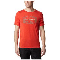 Vêtements Femme T-shirts manches courtes Columbia TERRA VALE II SS TEE WILDFIRE ROAM H T SHIRT 2020 WILDFIRE ROAM