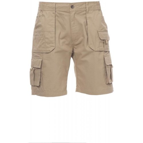 Vêtements Homme Shorts / Bermudas Payper Wear Slim Fit Ofcl Pique Zip Polo With Piping Vert