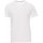 Vêtements Homme T-shirts manches courtes Payper Wear T-shirt satin Payper Free Blanc