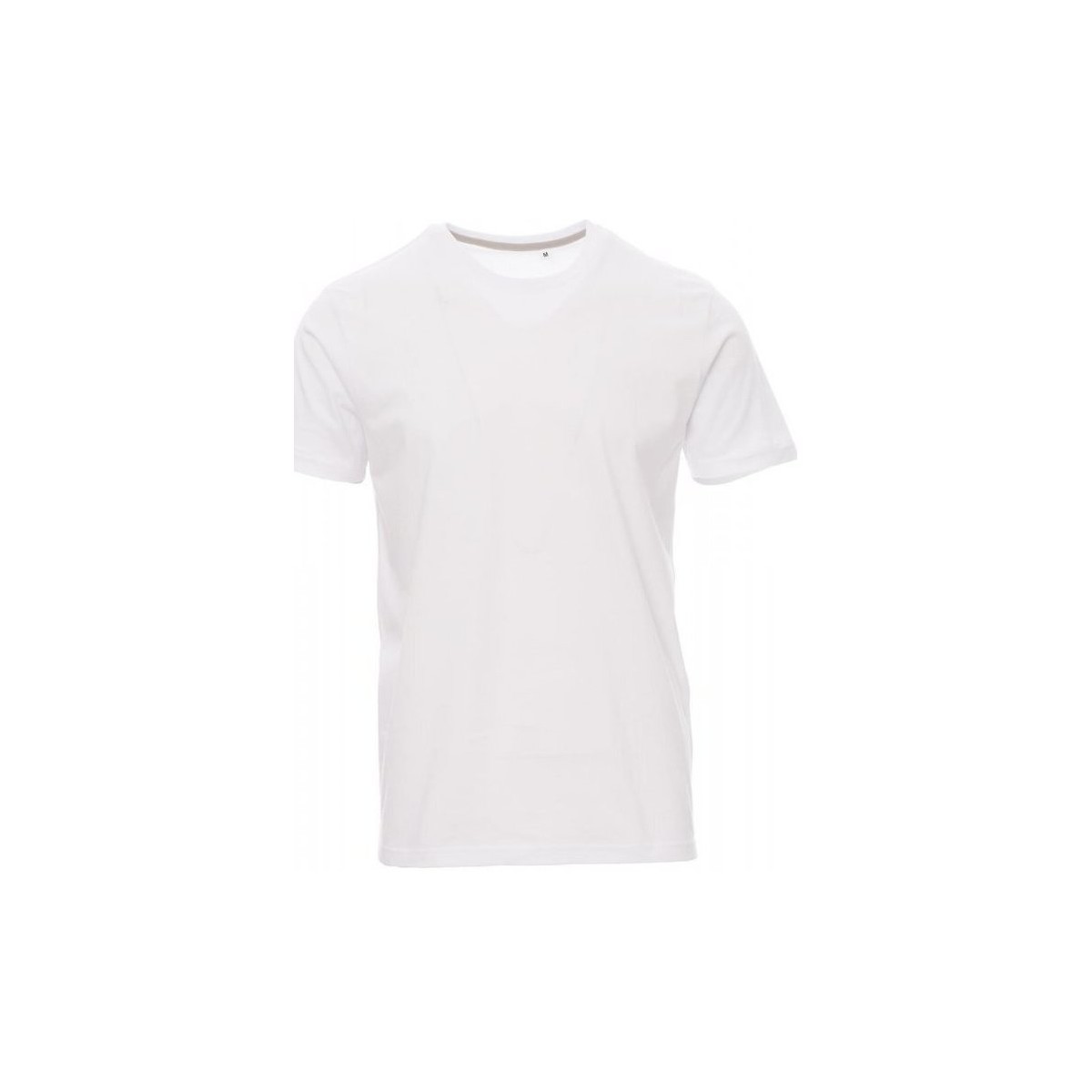 Vêtements Homme T-shirts manches courtes Payper Wear T-shirt Payper Free Blanc