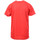 Vêtements Garçon T-shirts & Polos Hungaria H-15TMJUBA00 Rouge