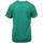 Vêtements Garçon T-shirts & Polos Hungaria H-15TMJUBA00 Vert