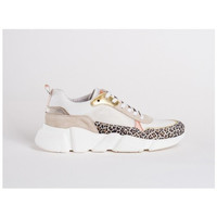 Chaussures Femme Baskets mode Reqin's avril Multicolore