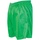 Vêtements Enfant Soft Shorts / Bermudas Precision RD123 Vert