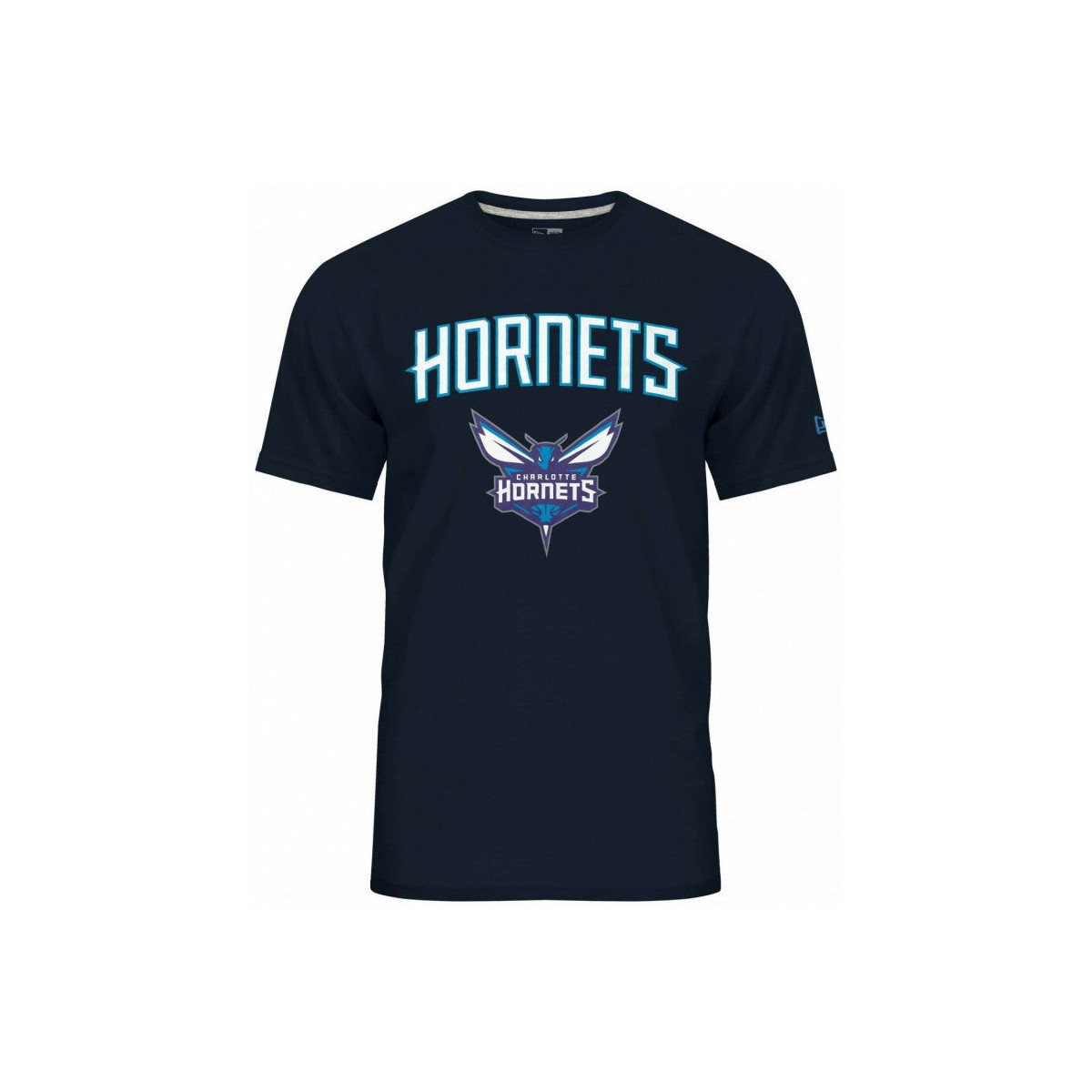 Vêtements Reclaimed Vintage inspired dip-dye logo t-shirt in charcoal T-Shirt NBA Charlotte Hornets Multicolore