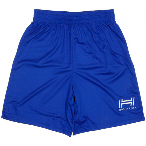 Vêtements Garçon Shorts Ice / Bermudas Hungaria H-15BMJUK000 Bleu
