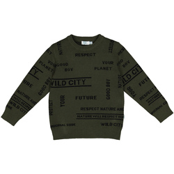 Vêtements Enfant Sweats Melby 40B2032 Vert