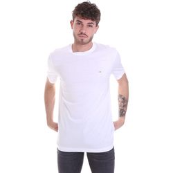 Vêtements Homme T-shirts manches courtes Calvin Klein Jeans K10K106360 Blanc