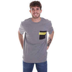 Vêtements Homme T-shirts manches courtes Calvin Klein Jeans K10K105579 Gris