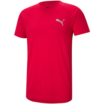 Vêtements Homme T-shirts & Polos Puma EVOSTRIPE Rouge