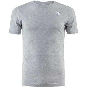 Vêtements Homme T-shirts manches courtes Kappa 304J150 Gris