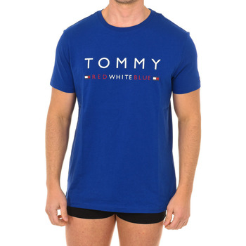 Sous-vêtements Homme Maillots de corps Grey Tommy Hilfiger UM0UM01167-415 Bleu