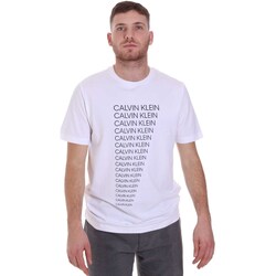 Vêtements Homme T-shirts manches courtes Calvin Klein Jeans 00GMT0K157 Blanc