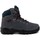 Chaussures Homme Bottes Chiruca  Gris