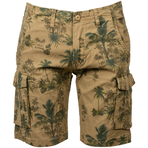 Vêtements Homme Shorts / Bermudas Jack & Jones Short coton Izack Beige