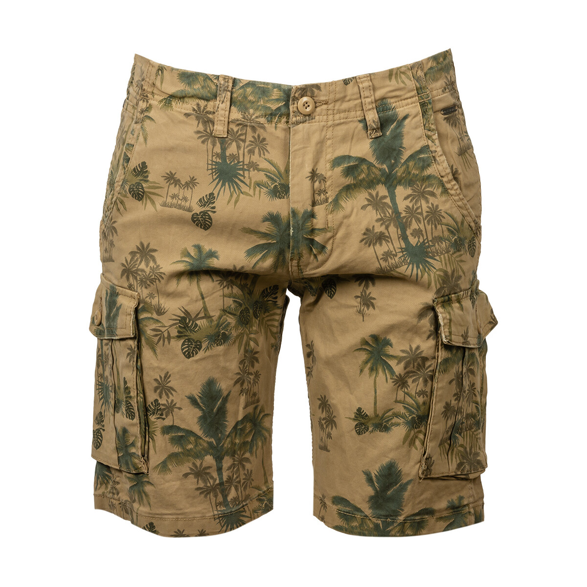Vêtements Homme Shorts / Bermudas Jack & Jones Short coton Izack Beige