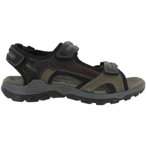 Chaussures Homme Sandales et Nu-pieds Rohde 5945 Noir