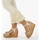 Chaussures Femme Sandales et Nu-pieds Gioseppo OLNE Beige