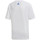 Vêtements Garçon T-shirts & Polos adidas Originals DV1686 Blanc