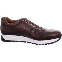 Chaussures Homme Baskets basses Umber  Marron