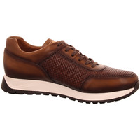 Chaussures Homme Baskets basses Umber  Marron