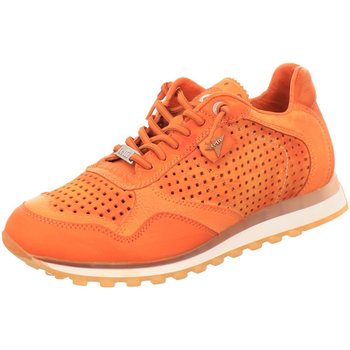 Chaussures Homme Rideaux / stores Cetti  Orange