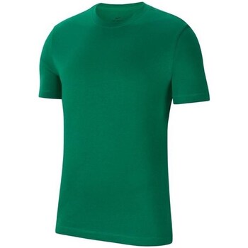 Vêtements Homme T-shirts Grey manches courtes Nike Park 20 Tee Vert