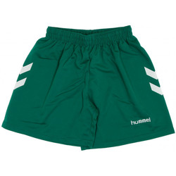Vêtements Fille Shorts / Bermudas hummel 405CLVB Vert