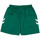 Vêtements Homme Shorts / Bermudas hummel 405CLVB Vert
