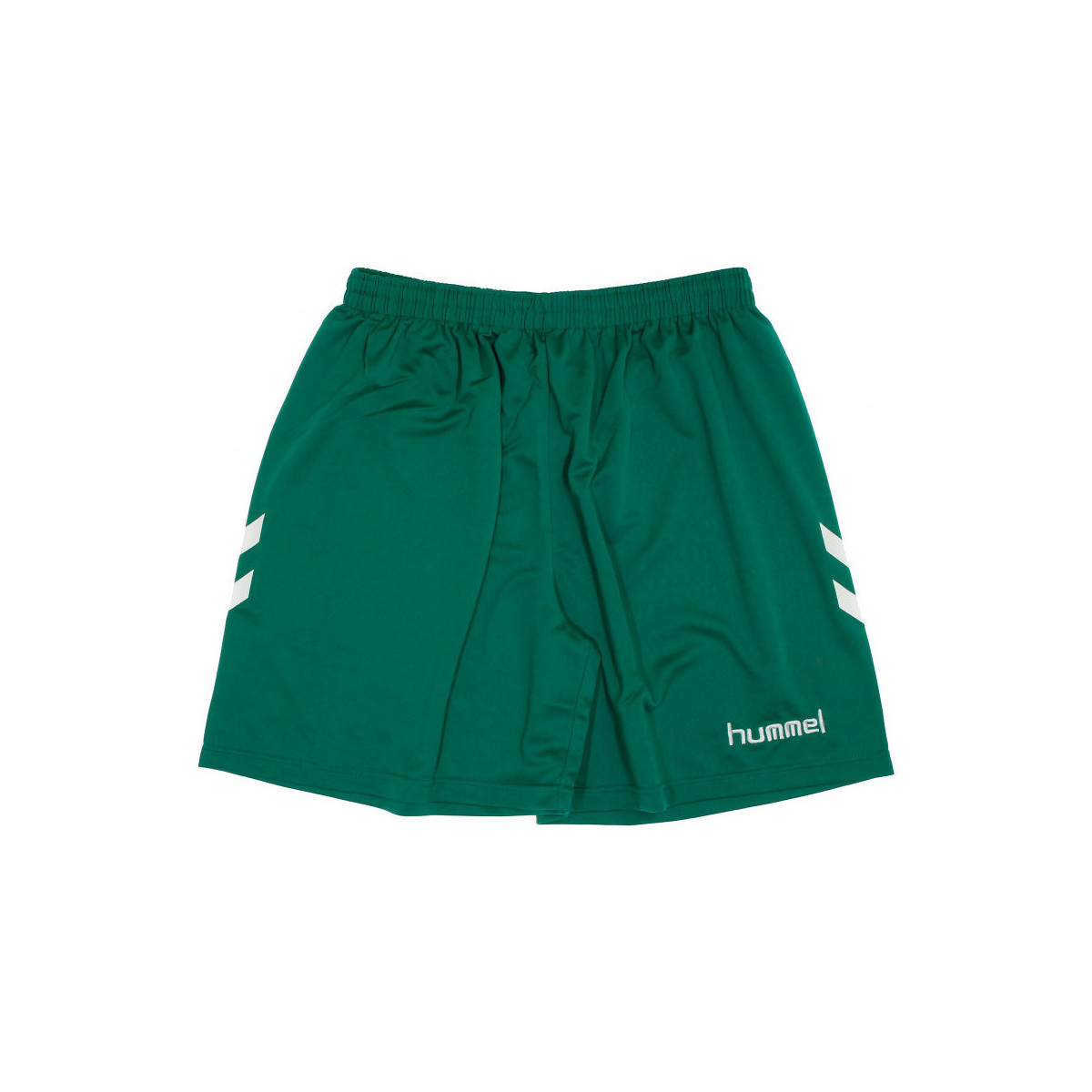 Vêtements Homme Shorts / Bermudas hummel 405CLVB Vert