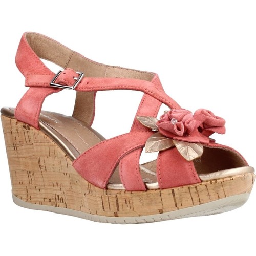 Chaussures Femme Culottes & autres bas Stonefly MARLENE II 10 VELOUR Rose