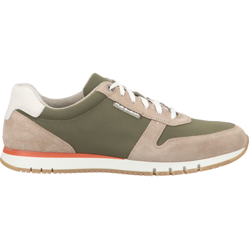 Chaussures Homme Baskets basses Pius Gabor 1015.10 Sneaker Beige