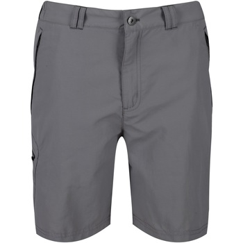 Vêtements Homme Shorts / Bermudas Regatta Leesville II Gris