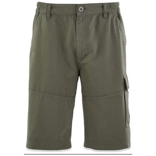 Vêtements taupe Shorts / Bermudas TBS FUPPABER Vert