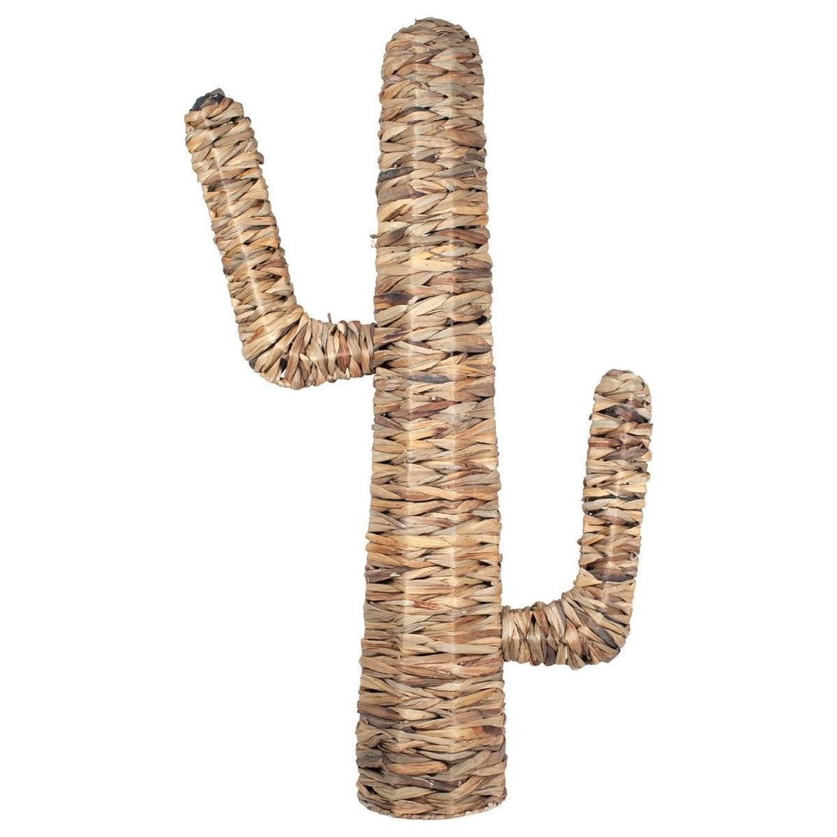 Maison & Déco Paniers / boites et corbeilles Signes Grimalt Cactus Beige